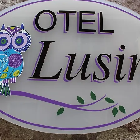 Lusin Hotel 2*