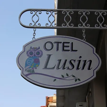 Lusin 2*